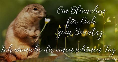 schöne sprüche sonntag|sonntagsgrüße text.